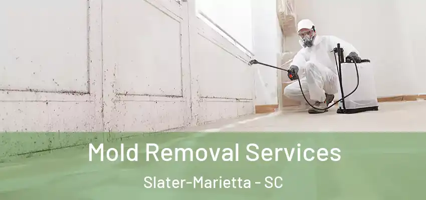 Mold Removal Services Slater-Marietta - SC