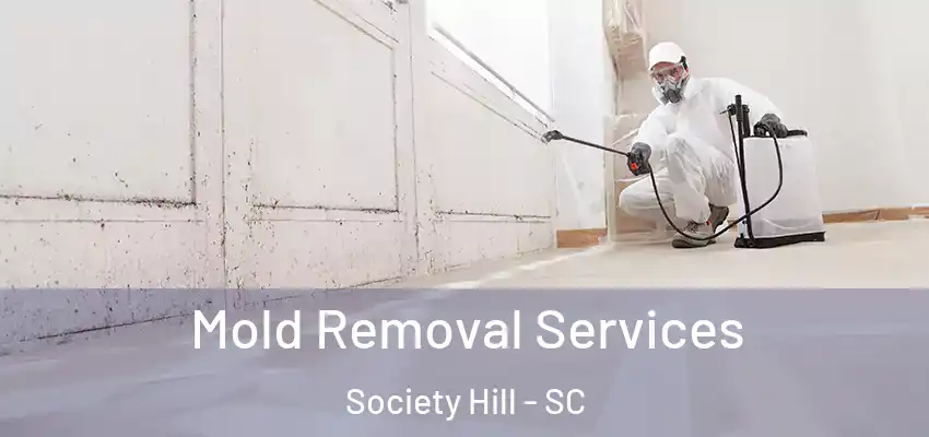 Mold Removal Services Society Hill - SC