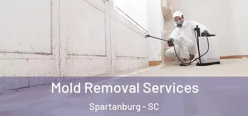 Mold Removal Services Spartanburg - SC