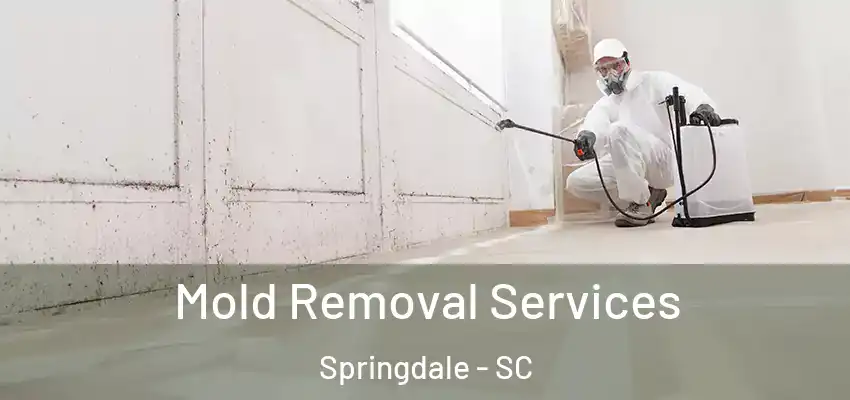 Mold Removal Services Springdale - SC