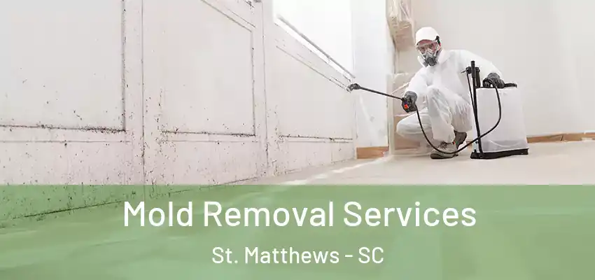  Mold Removal Services St. Matthews - SC
