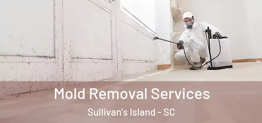 Mold Removal Services Sullivan's Island - SC