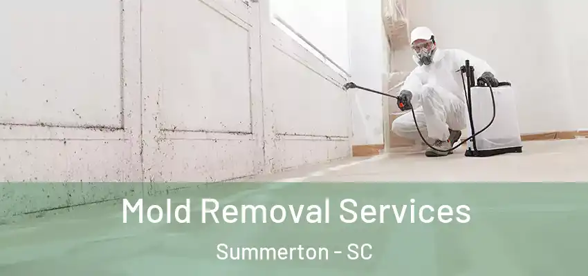 Mold Removal Services Summerton - SC