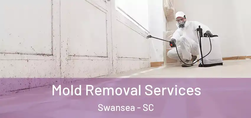  Mold Removal Services Swansea - SC