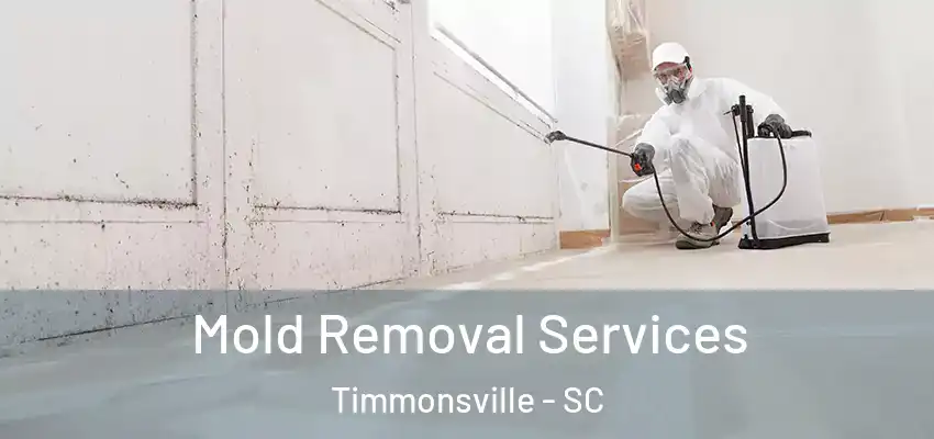 Mold Removal Services Timmonsville - SC