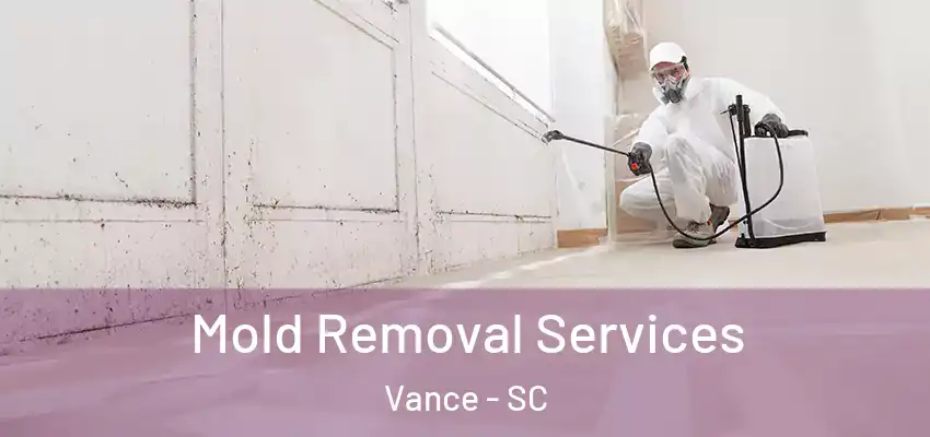 Mold Removal Services Vance - SC
