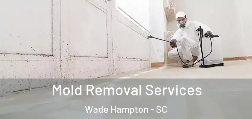 Mold Removal Services Wade Hampton - SC