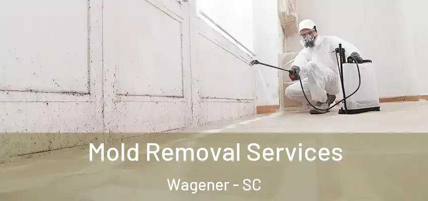 Mold Removal Services Wagener - SC