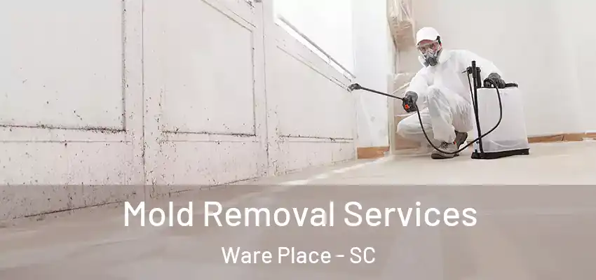 Mold Removal Services Ware Place - SC
