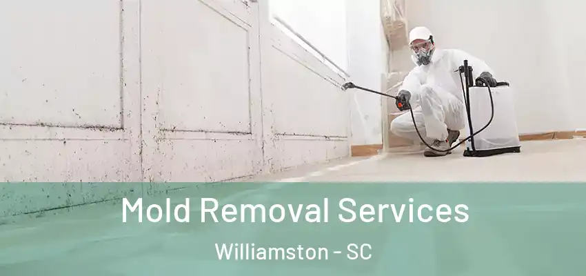 Mold Removal Services Williamston - SC