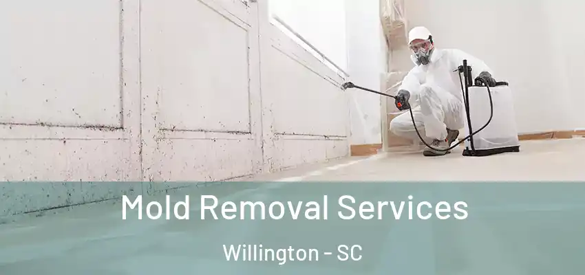  Mold Removal Services Willington - SC