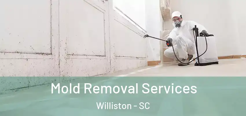  Mold Removal Services Williston - SC