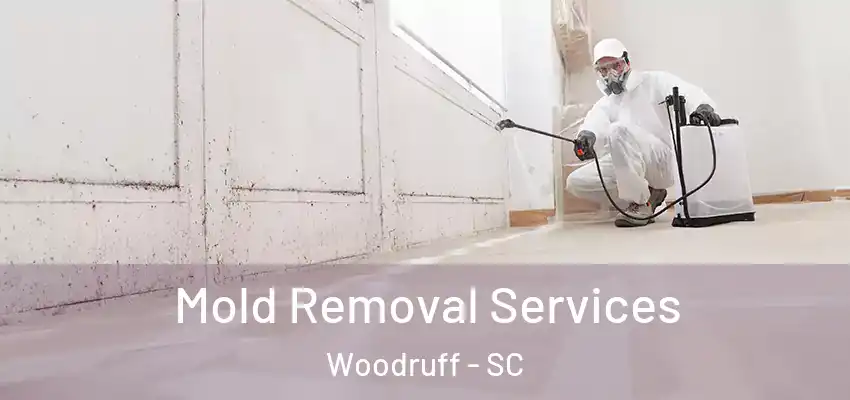  Mold Removal Services Woodruff - SC