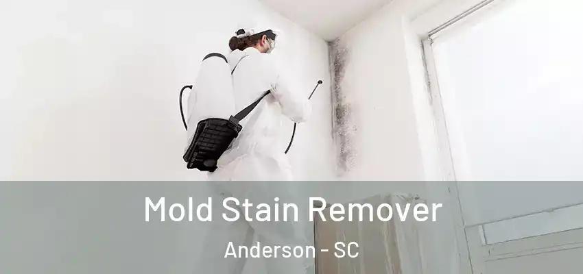  Mold Stain Remover Anderson - SC
