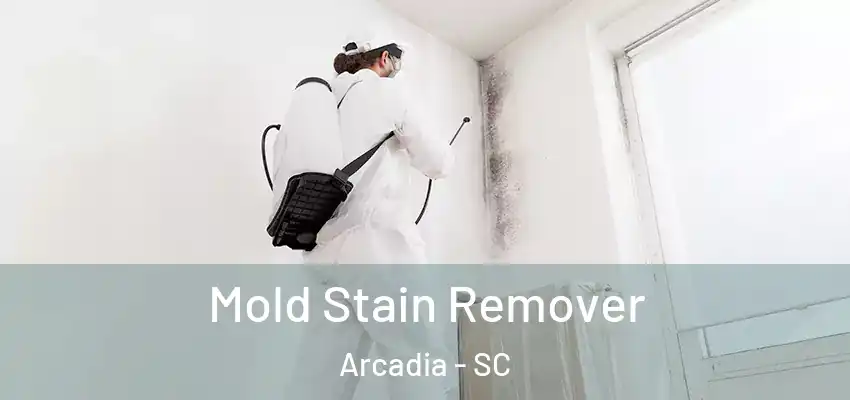 Mold Stain Remover Arcadia - SC