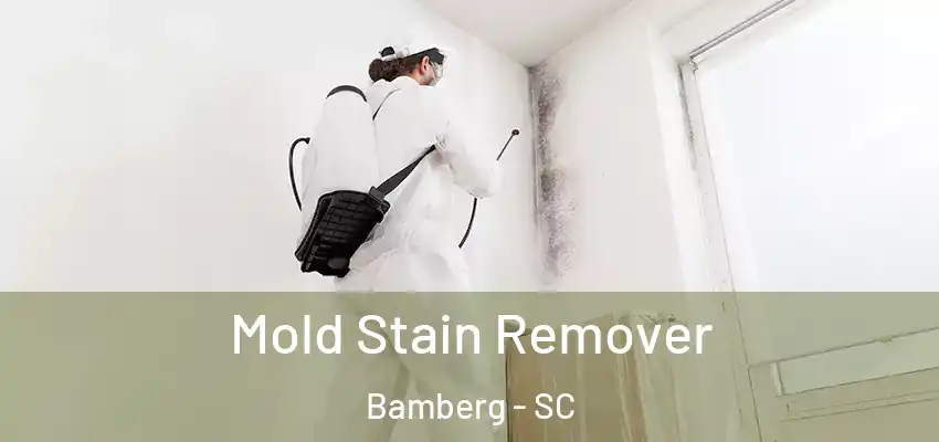  Mold Stain Remover Bamberg - SC