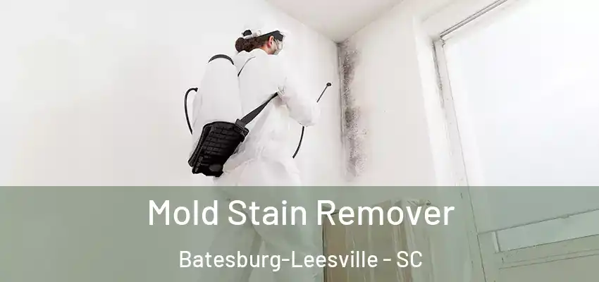  Mold Stain Remover Batesburg-Leesville - SC
