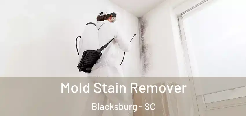  Mold Stain Remover Blacksburg - SC