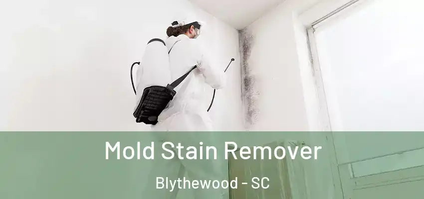  Mold Stain Remover Blythewood - SC