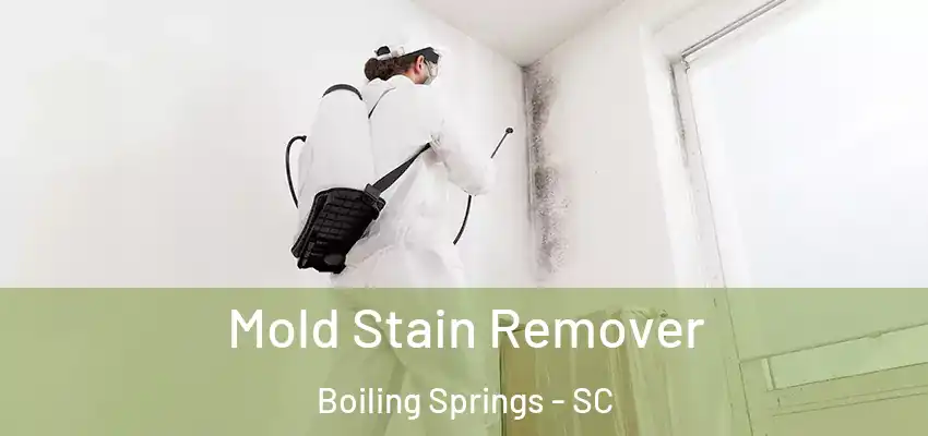  Mold Stain Remover Boiling Springs - SC