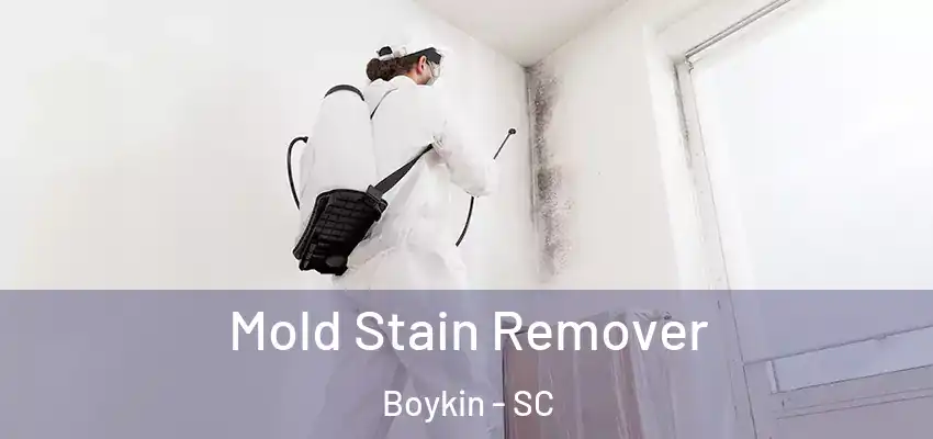  Mold Stain Remover Boykin - SC