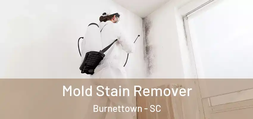  Mold Stain Remover Burnettown - SC