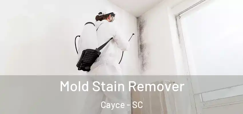  Mold Stain Remover Cayce - SC