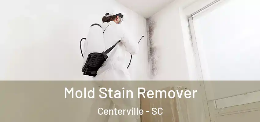 Mold Stain Remover Centerville - SC
