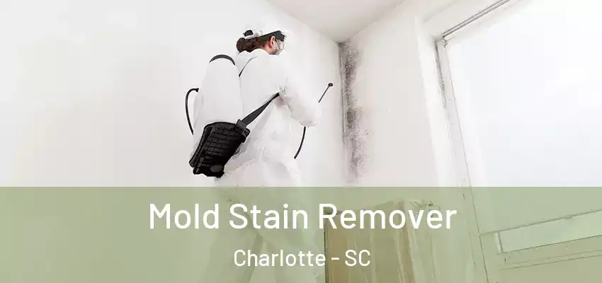 Mold Stain Remover Charlotte - SC