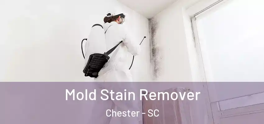 Mold Stain Remover Chester - SC