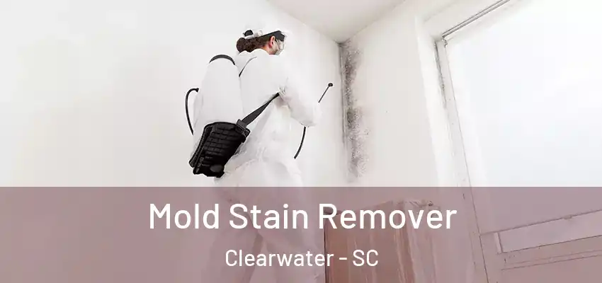  Mold Stain Remover Clearwater - SC