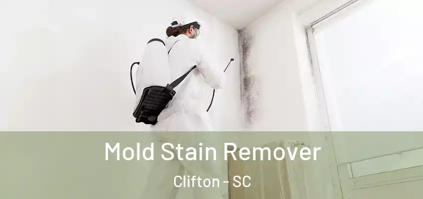  Mold Stain Remover Clifton - SC