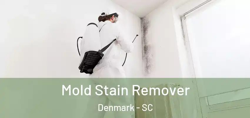 Mold Stain Remover Denmark - SC