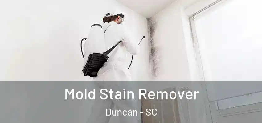 Mold Stain Remover Duncan - SC