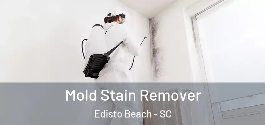  Mold Stain Remover Edisto Beach - SC