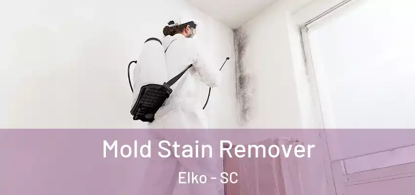  Mold Stain Remover Elko - SC