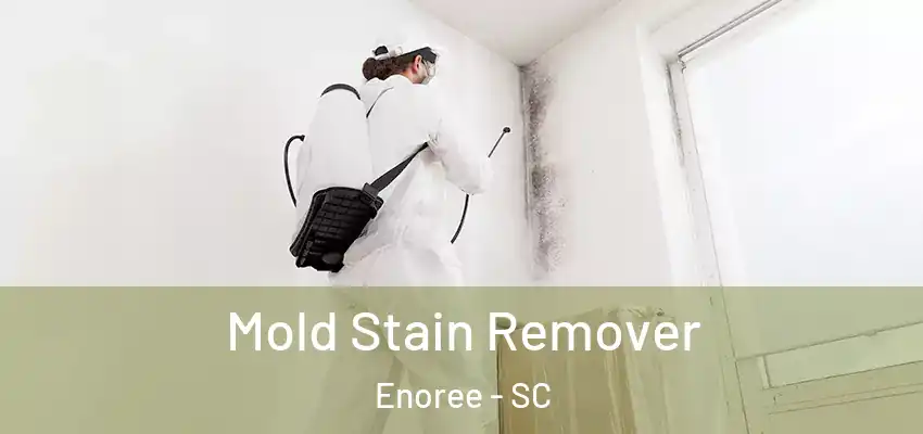  Mold Stain Remover Enoree - SC