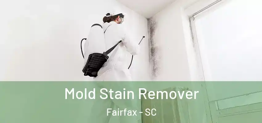  Mold Stain Remover Fairfax - SC