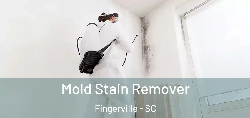  Mold Stain Remover Fingerville - SC