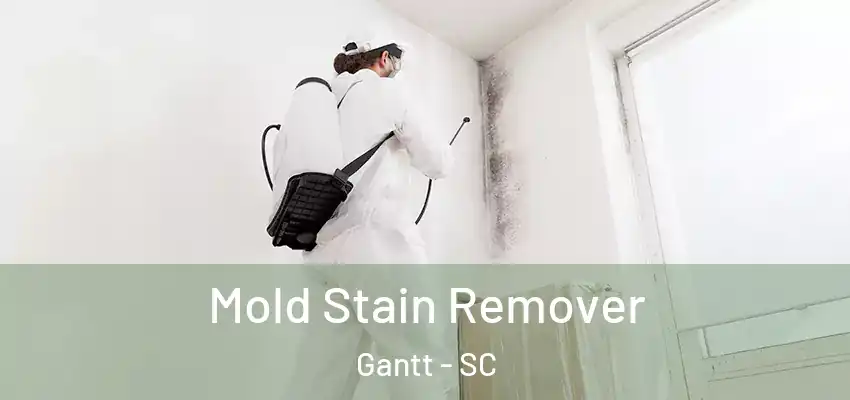  Mold Stain Remover Gantt - SC