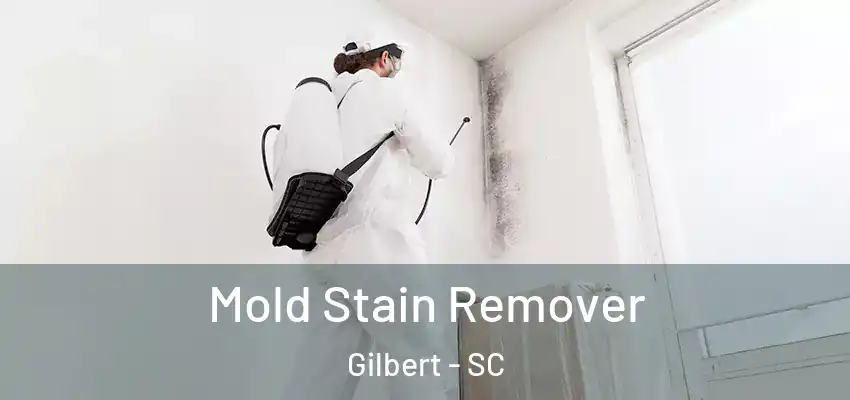Mold Stain Remover Gilbert - SC