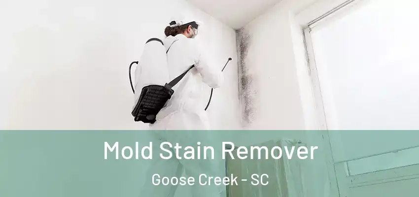  Mold Stain Remover Goose Creek - SC