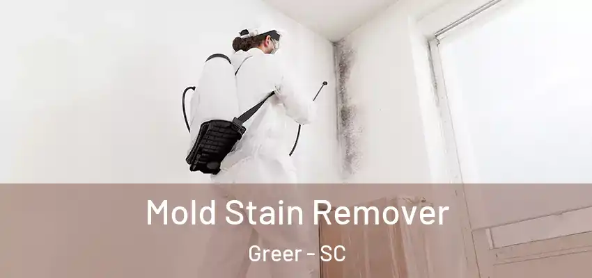  Mold Stain Remover Greer - SC