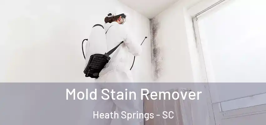  Mold Stain Remover Heath Springs - SC