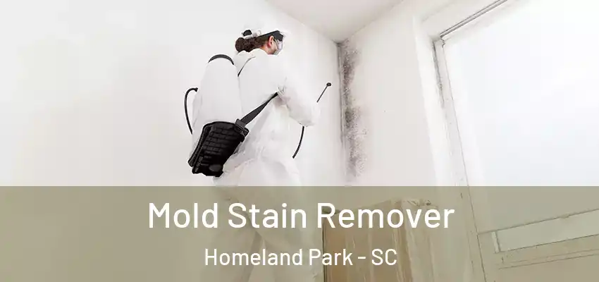 Mold Stain Remover Homeland Park - SC