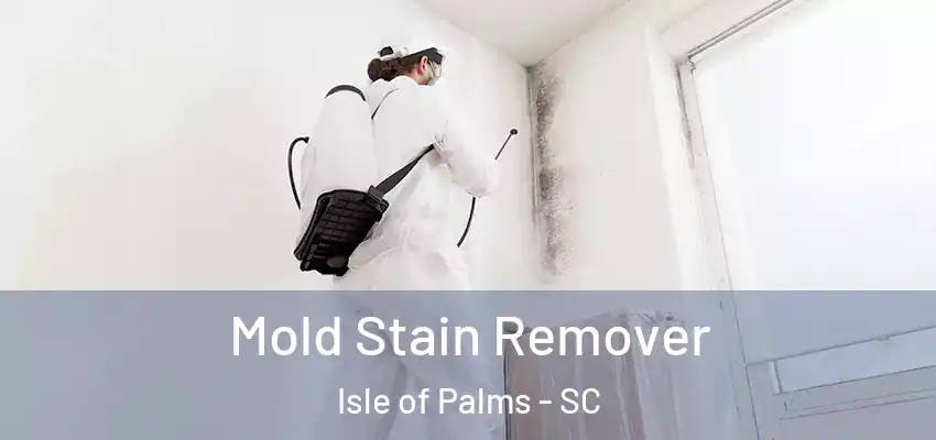 Mold Stain Remover Isle of Palms - SC