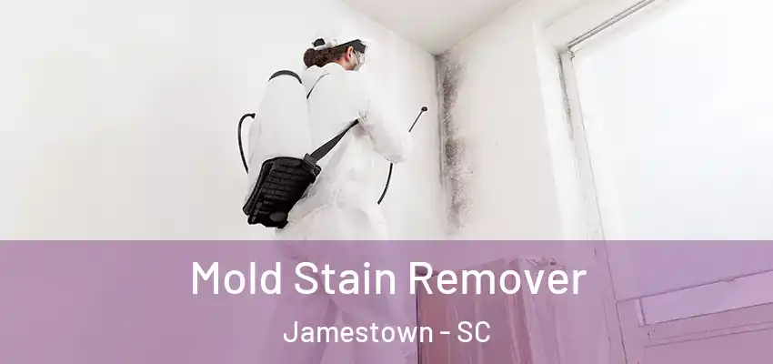  Mold Stain Remover Jamestown - SC