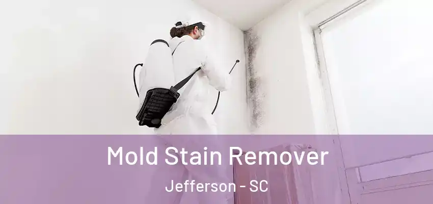  Mold Stain Remover Jefferson - SC