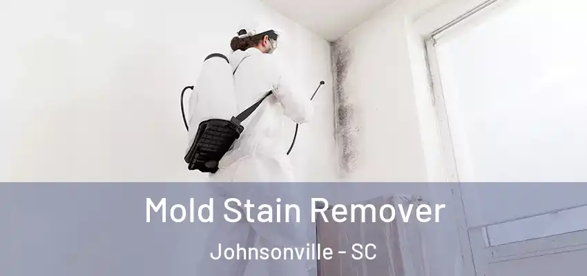  Mold Stain Remover Johnsonville - SC