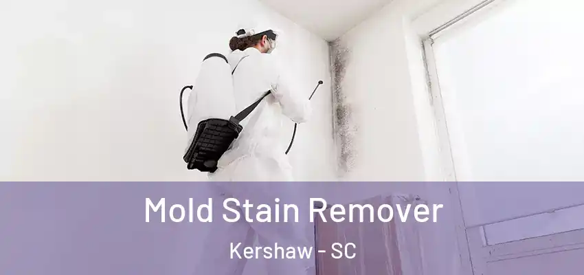  Mold Stain Remover Kershaw - SC